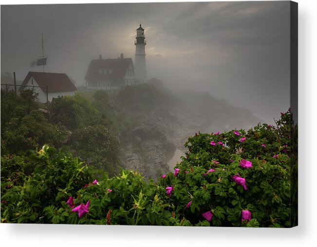 Maine Acrylic Print featuring the photograph Surreal by Colin Chase