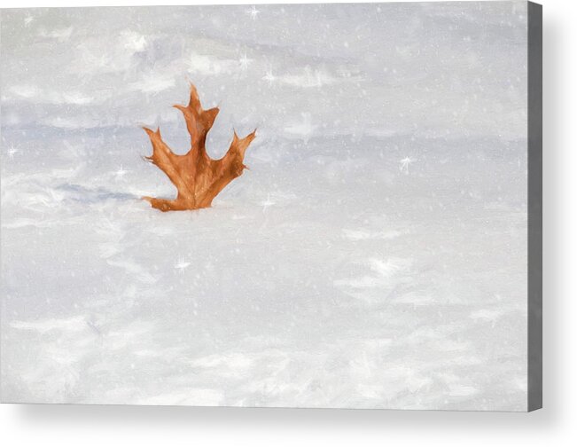 Winter Acrylic Print featuring the photograph Surrender by Cathy Kovarik