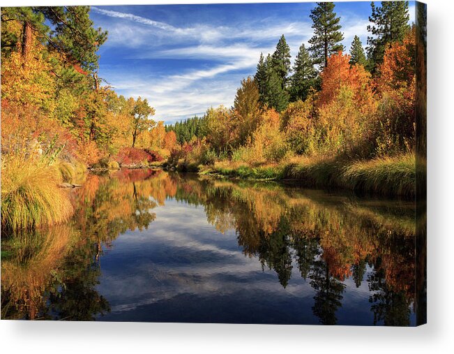Autumn Acrylic Print featuring the photograph Susan River 10-28-12 by James Eddy
