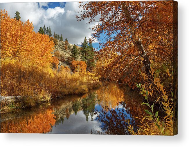 Landscape Acrylic Print featuring the photograph Susan River Reflections by James Eddy