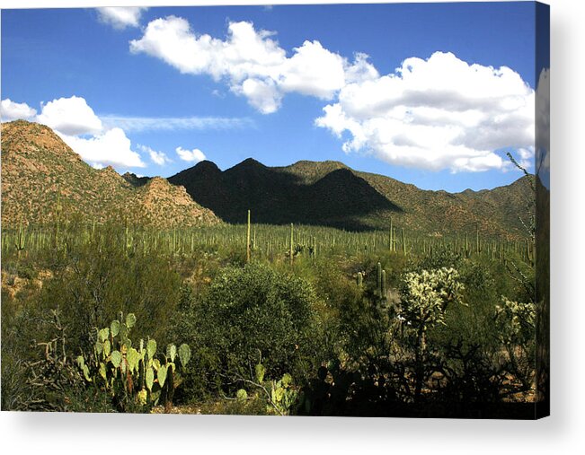 Saguaro Acrylic Print featuring the photograph SW194 Southwest by James D Waller