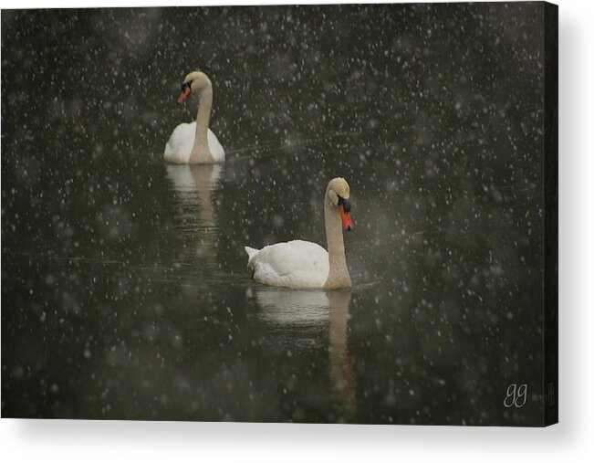 Swans Acrylic Print featuring the photograph Swan Lake by Geri Glavis