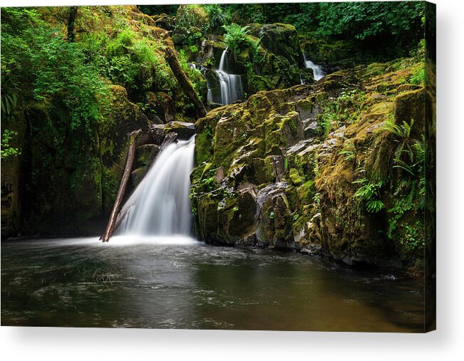 Sweet Creek Acrylic Print featuring the photograph Sweet Creek Cascade No 8 by Rick Pisio