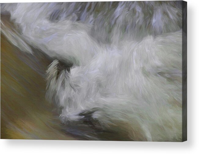 Swept Away Acrylic Print featuring the photograph Swept Away by Andrea Kollo