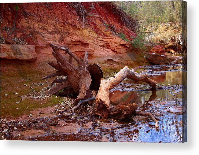 River Acrylic Print featuring the photograph Swept away by James Smullins