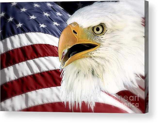 Bald Eagle Acrylic Print featuring the photograph Symbol of America by Teresa Zieba