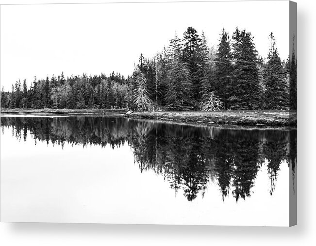 Pine Trees Acrylic Print featuring the photograph Symmetry by Holly Ross