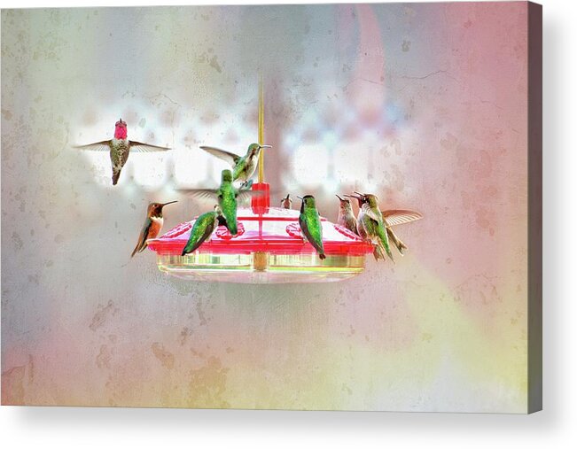 Hummingbirds Acrylic Print featuring the photograph Table For Twelve in Pastels by Lynn Bauer