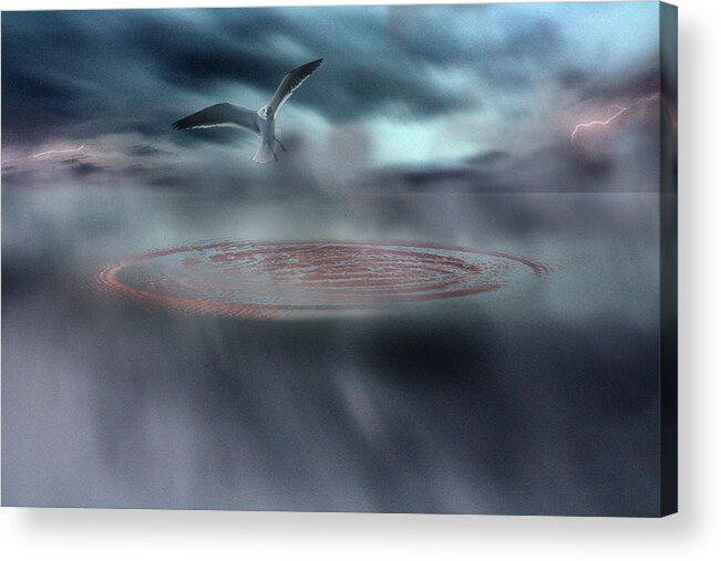 Seagull Acrylic Print featuring the photograph Taking Flight by Gray Artus