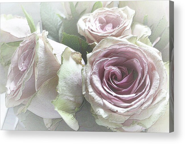 Talea Rose Acrylic Print featuring the photograph Talea Roses with Texture by Nadalyn Larsen