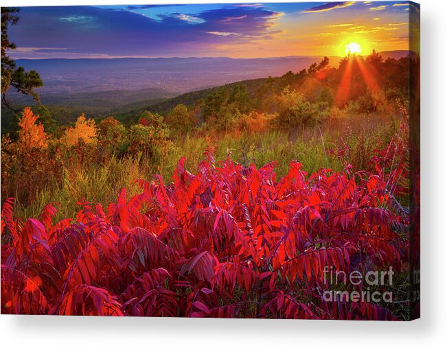 America Acrylic Print featuring the photograph Talimena Evening by Inge Johnsson