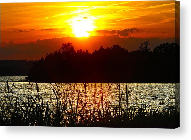 Smith Mountain Lake Sunset Acrylic Print featuring the photograph Tall Grass Sunset 2 Smith Mountain Lake by The James Roney Collection