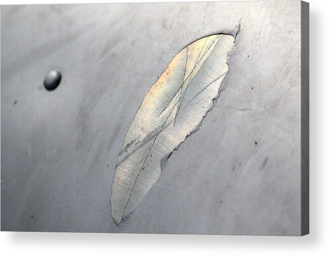Metal Acrylic Print featuring the photograph Terminus Wing by Annekathrin Hansen