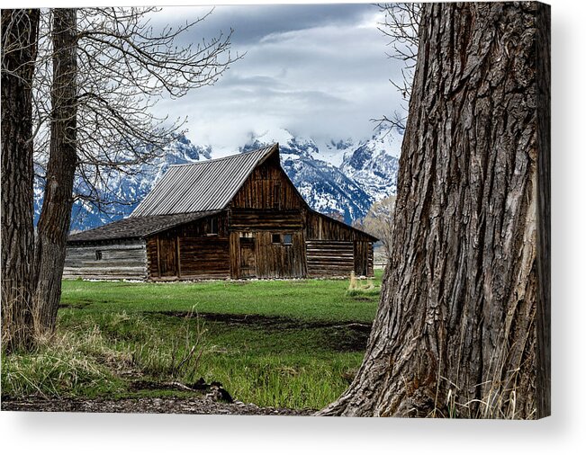 Tetons Acrylic Print featuring the photograph Teton Barn #1 by Scott Read