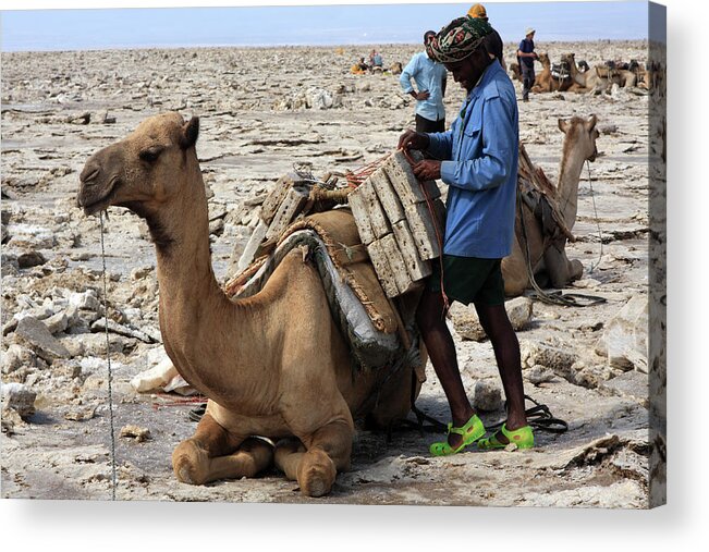 Horn Of Africa Acrylic Print featuring the photograph The Afar People by Aidan Moran