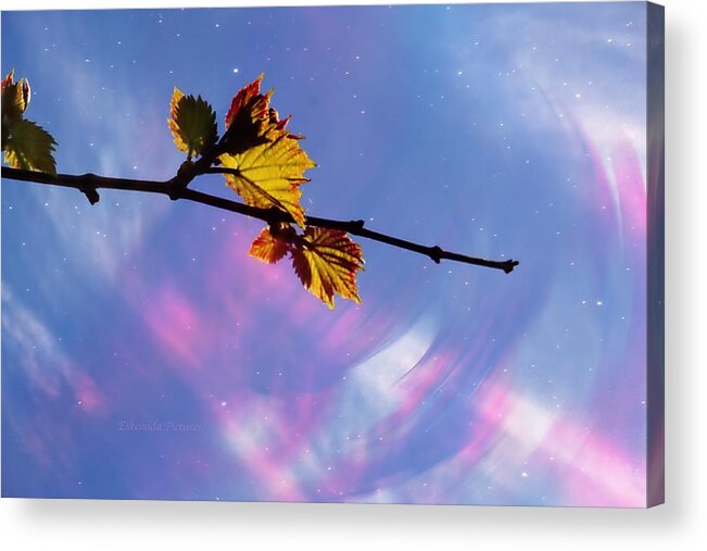 Landscapes Acrylic Print featuring the photograph The art of nature by Eskemida Pictures