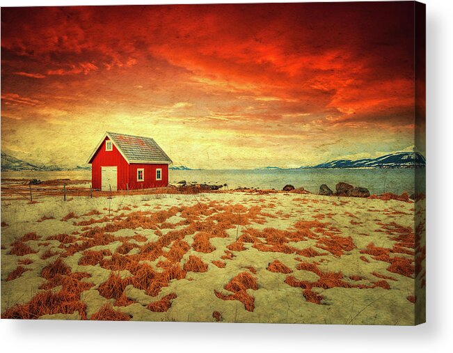 Texture Acrylic Print featuring the photograph The Background World by Philippe Sainte-Laudy