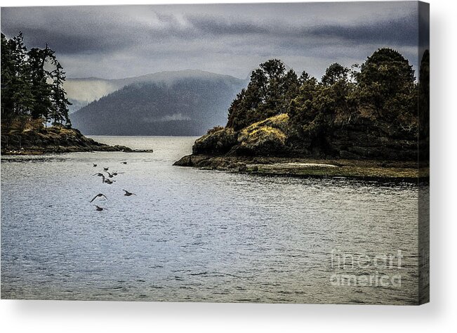 Bay Acrylic Print featuring the photograph The Bay by Barry Weiss