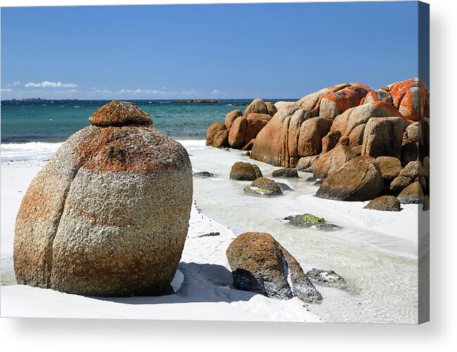 Bay Of Fires Acrylic Print featuring the photograph The Bay of Fires by Nicholas Blackwell