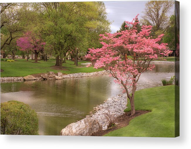 Spring Acrylic Print featuring the photograph The Beauty of Spring by Angie Tirado
