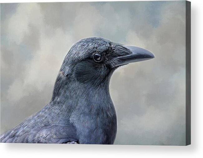 Bird Acrylic Print featuring the photograph The Crow by Cathy Kovarik