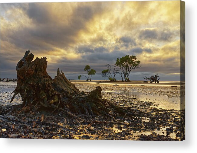Decay Acrylic Print featuring the photograph The End of the World by Robert Charity