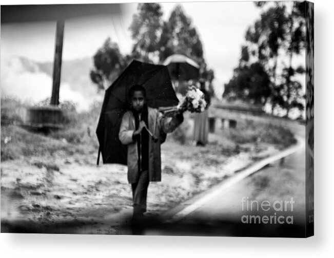 Poor Kid Selling Flowers Roadside In Rain Acrylic Print featuring the photograph The Gap Rich and Poor by Venura Herath