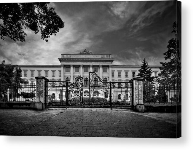 Gate Acrylic Print featuring the photograph The Grand Entrance by Evelina Kremsdorf