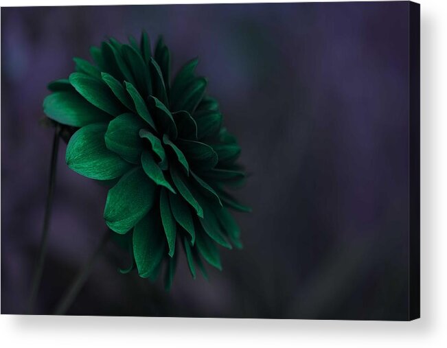 Beautiful Acrylic Print featuring the painting The Green Flower 2 by Celestial Images