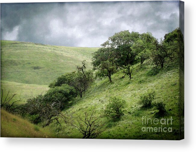 Landscape Acrylic Print featuring the photograph The Green Hills of Home by Ellen Cotton