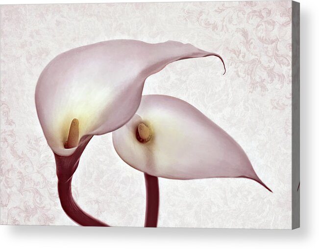 Calle Lilies Acrylic Print featuring the photograph The Heart of Lilies by Leda Robertson