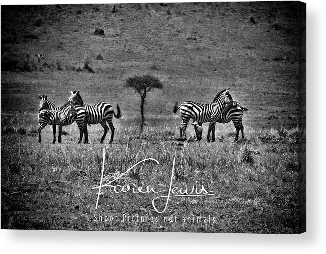 Masai Mara Acrylic Print featuring the photograph The Herd by Karen Lewis