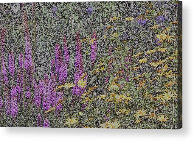 Lupines Acrylic Print featuring the photograph The Hill by Scott Heister