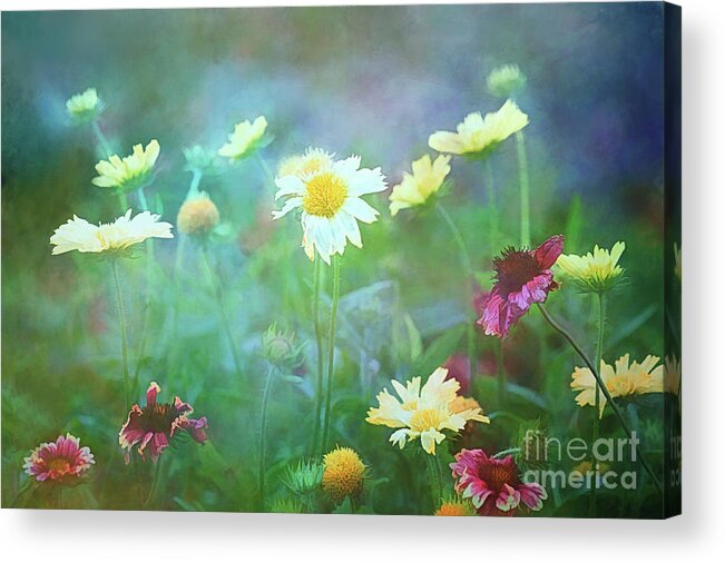 Flowers Acrylic Print featuring the photograph The Joy of Summer Flowers by Anita Pollak