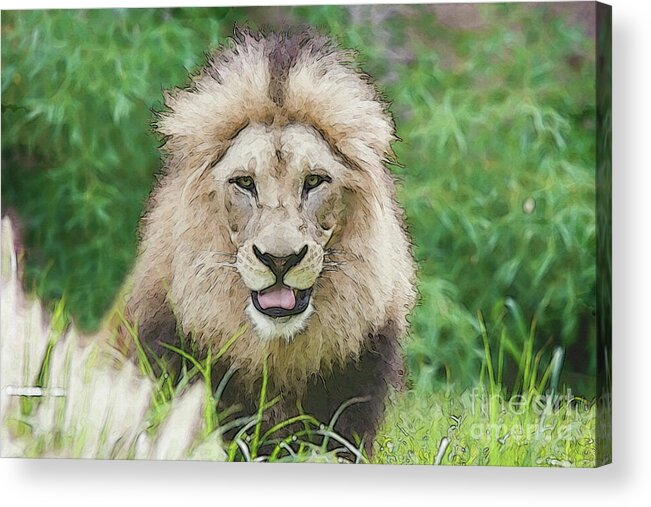 Cincinnati Zoo Acrylic Print featuring the photograph The King by Ed Taylor