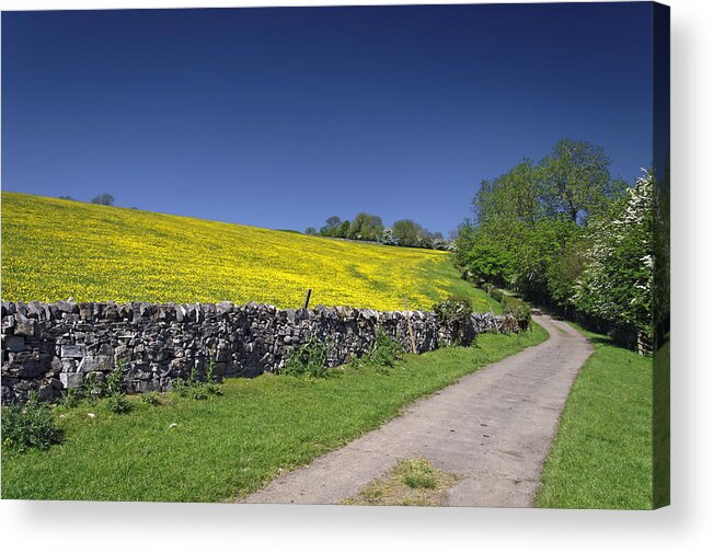 Derbyshire Acrylic Print featuring the photograph The Limestone Way - near Thorpe by Rod Johnson