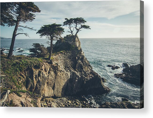 Landscape Acrylic Print featuring the photograph The Lone Cypress No.2 by Margaret Pitcher