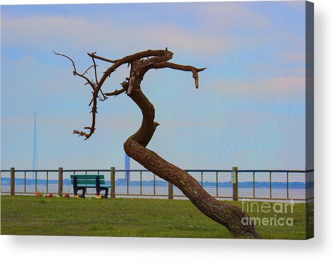 Tree Acrylic Print featuring the photograph The Lone Tree by Roberta Byram