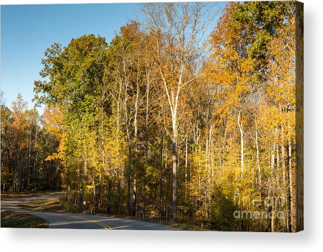 Natchez Trace Acrylic Print featuring the photograph The Long and Winding Road - Natchez Trace by Debra Martz