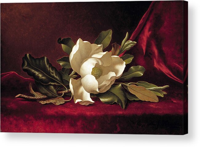 Martin Johnson Heade Acrylic Print featuring the painting The Magnolia Blossom by MotionAge Designs