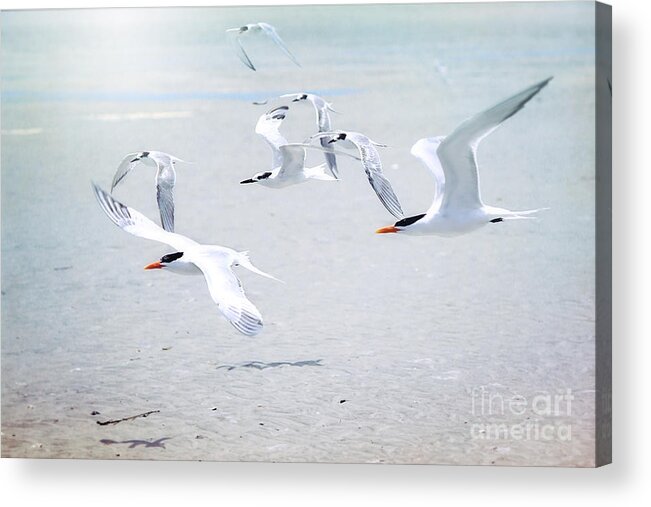 The Beach House Acrylic Print featuring the photograph The Morning Rush by Sharon McConnell