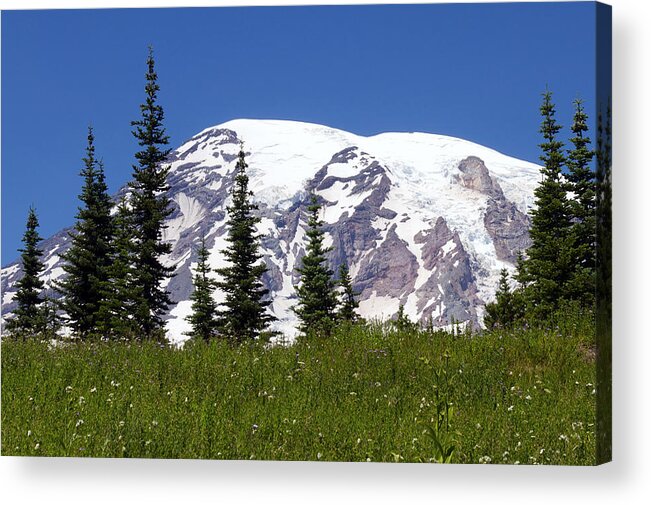 Landscape Acrylic Print featuring the photograph The Mountain in Summer by Emerita Wheeling