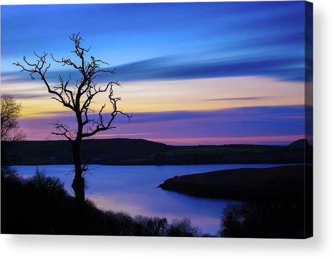 Tree Acrylic Print featuring the photograph The Naked Tree at Sunrise by Semmick Photo