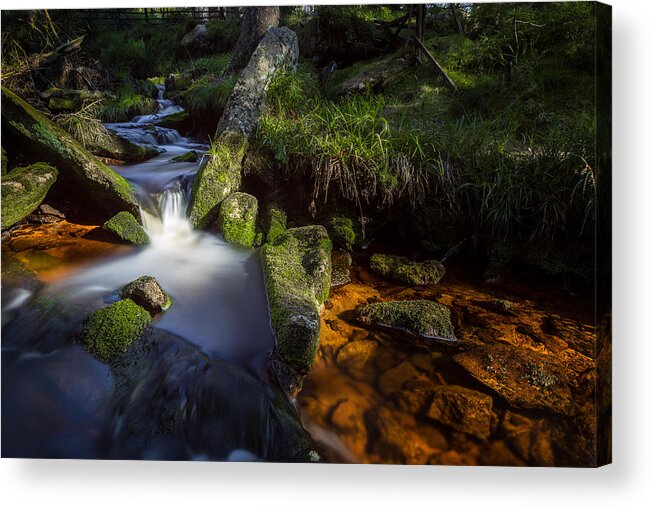 Harz National Park Acrylic Print featuring the photograph the Oder in the Harz National Park by Andreas Levi