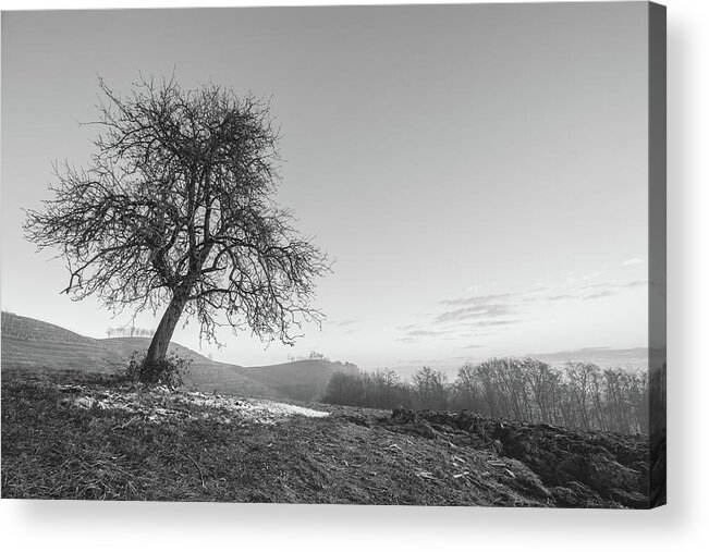 Landscape Acrylic Print featuring the photograph The One by Davorin Mance