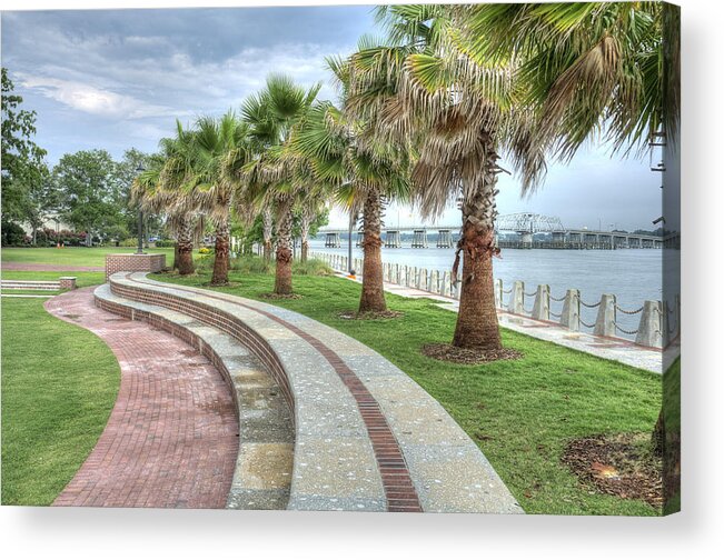 henry C. Chambers Acrylic Print featuring the photograph The Palms of Water Front Park by Scott Hansen