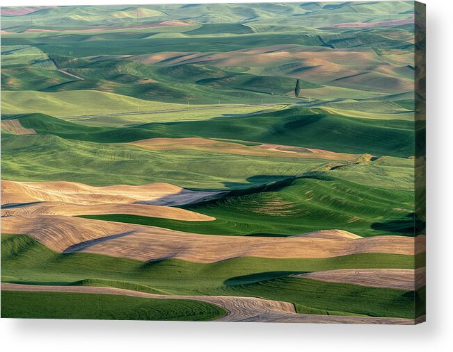 Palouse Acrylic Print featuring the photograph The Palouse by Joe Paul