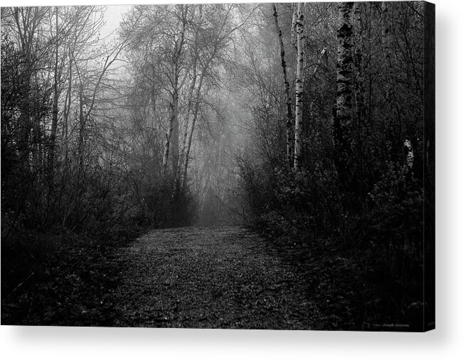 Hiking Acrylic Print featuring the photograph The Path by Joseph Noonan