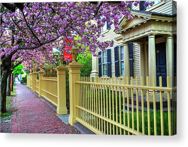 Salem Acrylic Print featuring the photograph The Peabody Essex Museum House at Spring Salem MA Federal Street by Toby McGuire