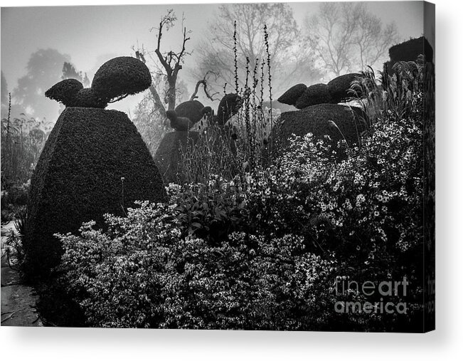 Plants Acrylic Print featuring the photograph The Peacock Garden, Great Dixter by Perry Rodriguez